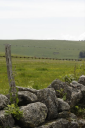 l'Aubrac