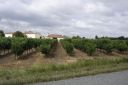 Gaillac